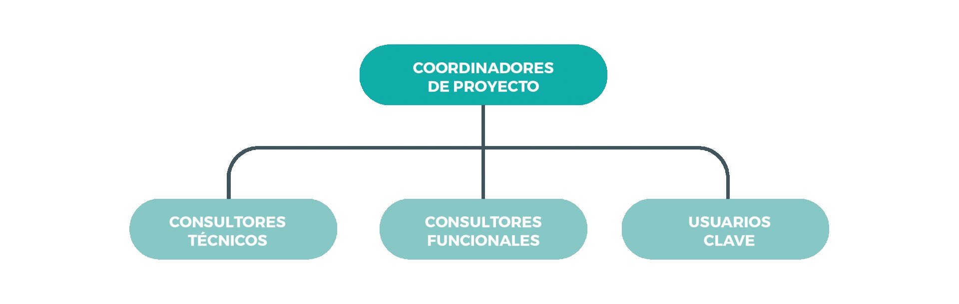 Como trabajamos